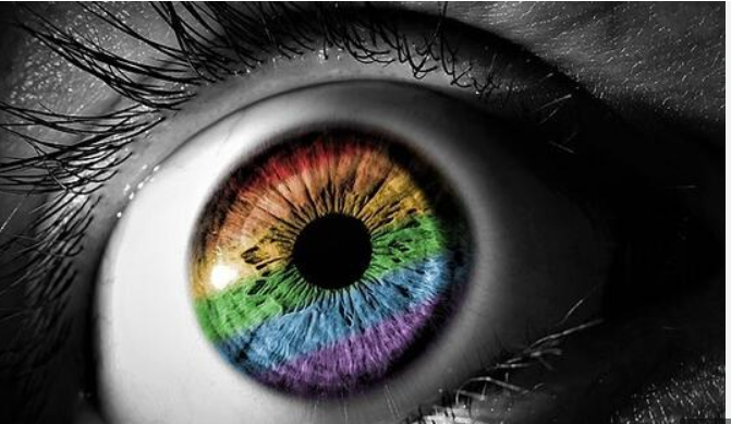 The Rare Spectrum of Eye Colors in New Jersey: From Common to Extraordinary