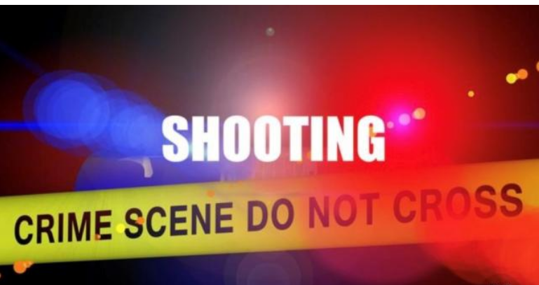 Fatal Shooting Involving Teenagers Shocks Palmetto, Florida