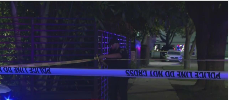 Fatal Shooting Shakes Coconut Grove Community, Prompts Police Investigation