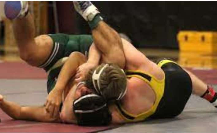 Tioga Wrestling Targets Historic Triumph at NYS Tournament in New York