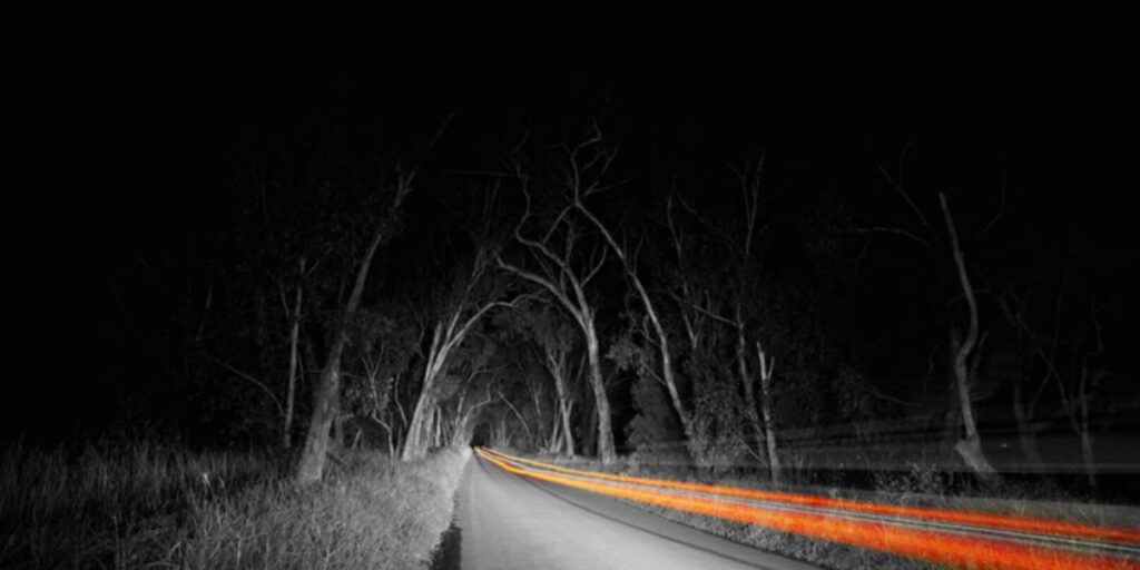 6 Spine-chilling Haunted Roads in New Jersey That Locals Say You Should Never Travel Alone at Night