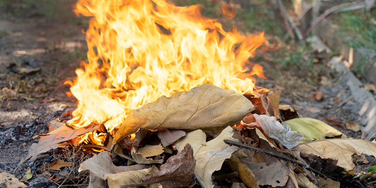 Tennessee Fire Regulations: Is It Legal to Burn on Your Own Property?