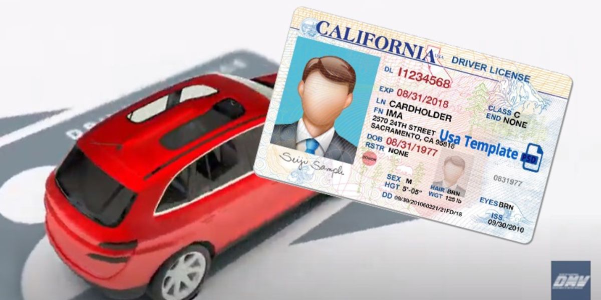 Driver’s License Renewal in California New Multilingual Options and What’s Changing