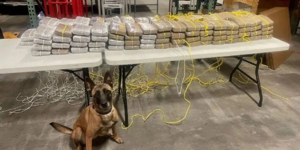 Over 31 Pounds of Cocaine and $25,000 Seized During Traffic Stop on I-70 Near Breckenridge, Suspect Arrested