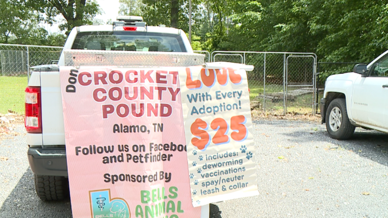 Crockett County Pound Faces Overcrowding Crisis: Here’s How You Can Help Save Pets Today?
