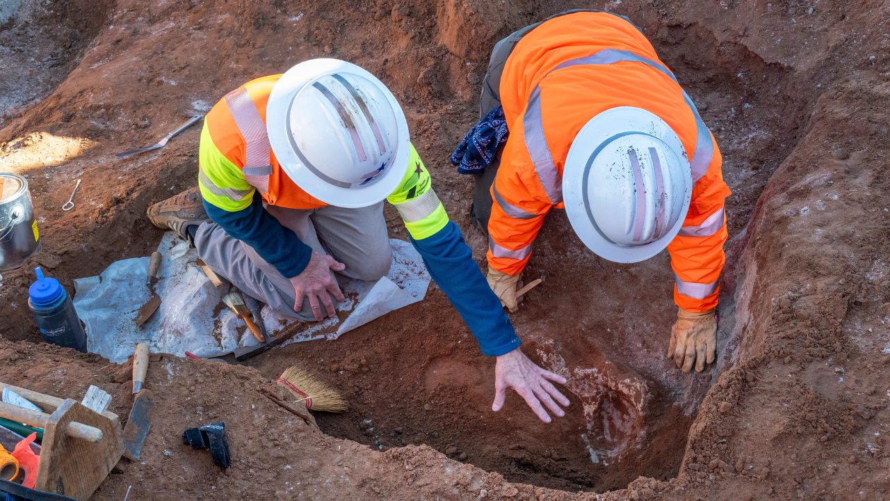 Forster Construction Celebrates 40 Years of Building Strong Local Relationships