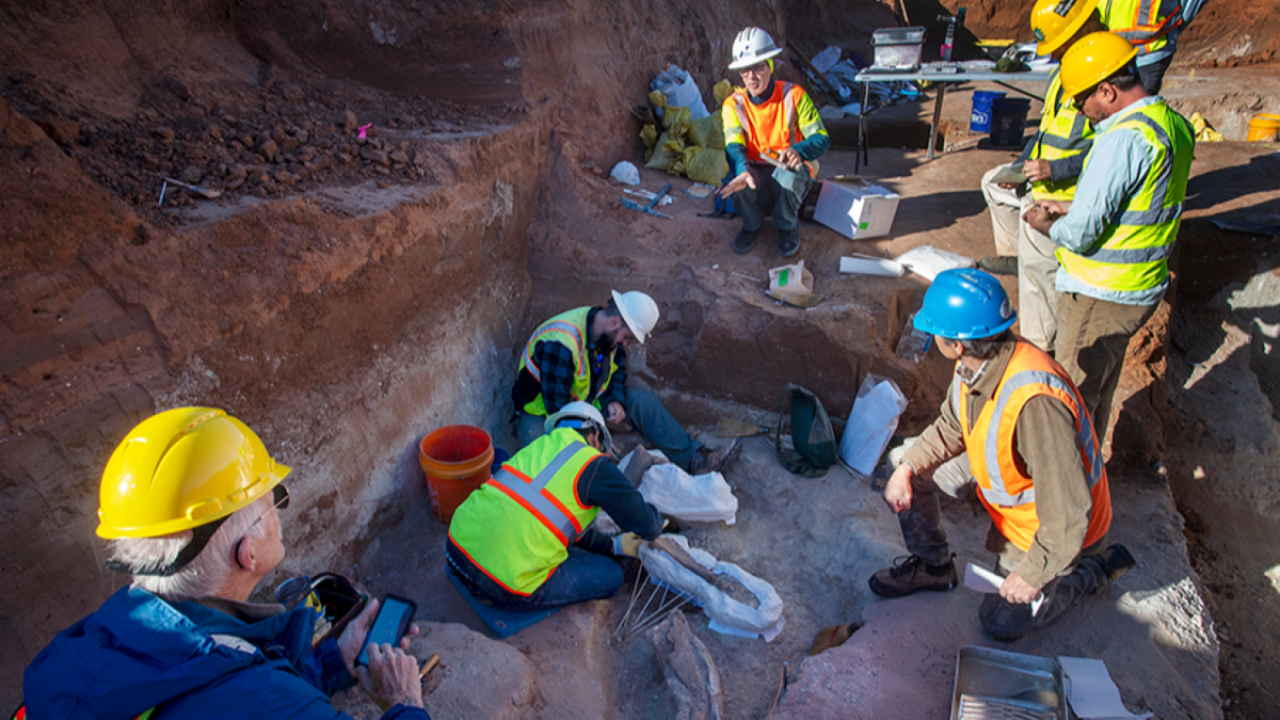 Texas Construction Crew Stumbles on Gigantic Fossils of ‘Big Ol’ Animals’ from Millions of Years Ago