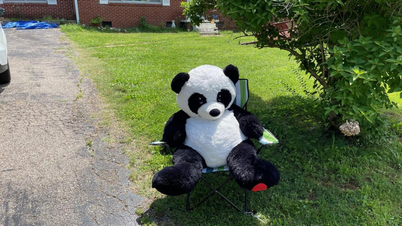 Chester County’s Fun Bear Hunt Kicks Off Summer With Outdoor Adventure for Families and Friends