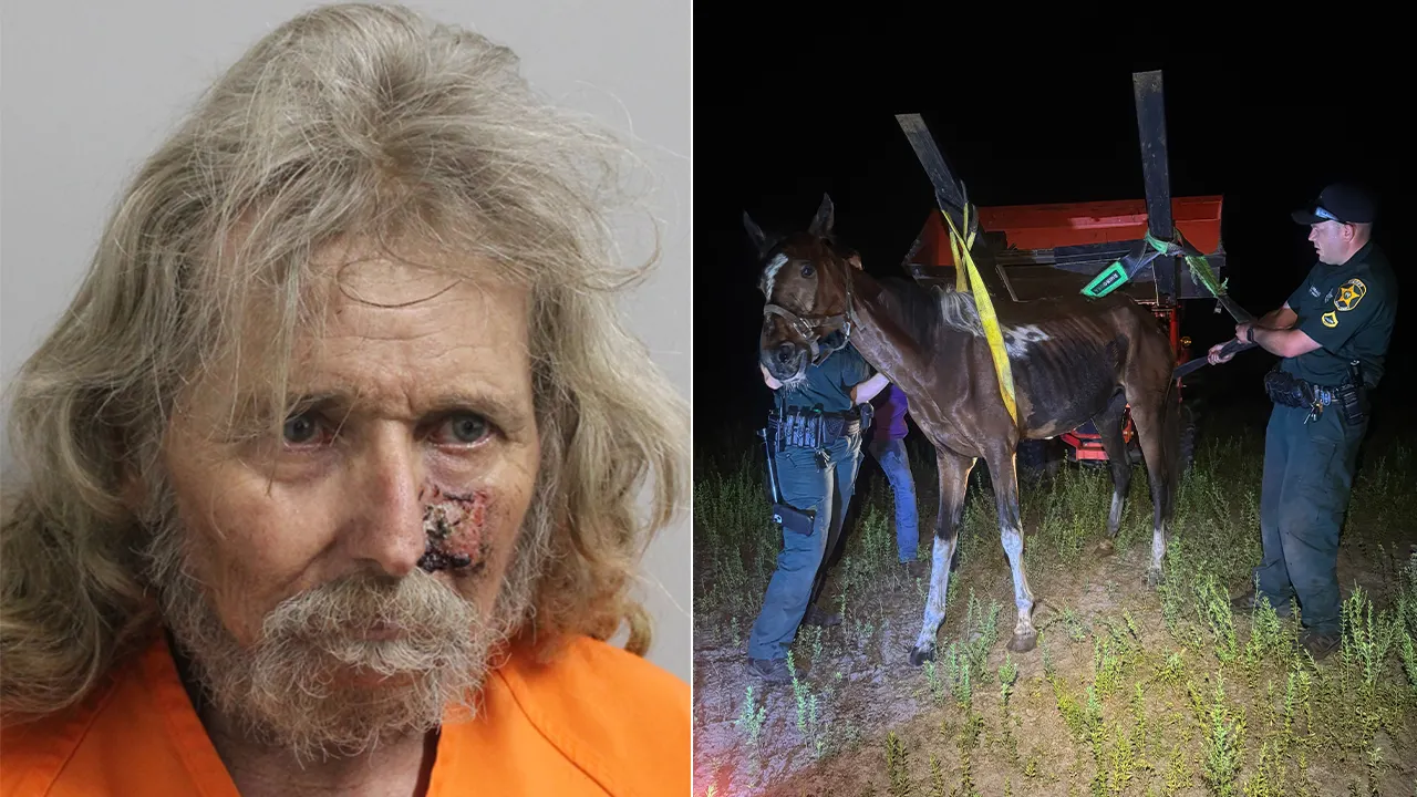 Central Florida Man Arrested for Starving and Abusing Six Horses in Groveland