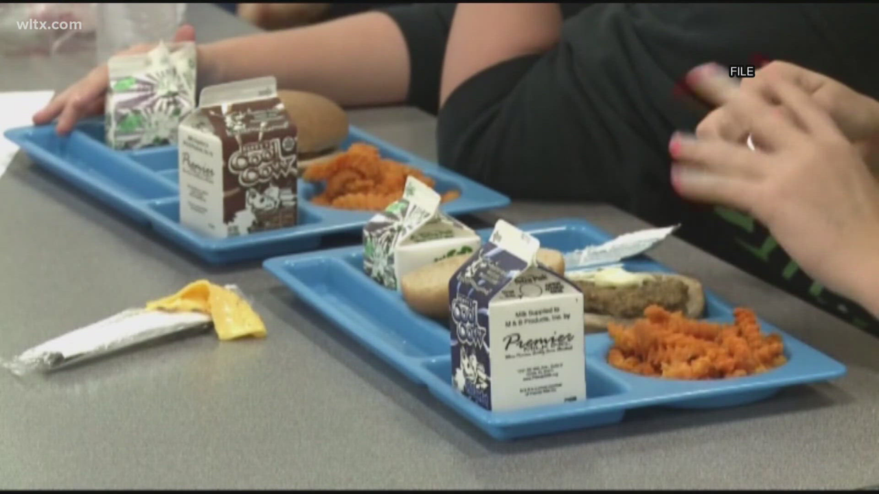 South Carolina Signs Law Expanding Free Lunch Access and Prohibiting Student Meal Debt Shaming