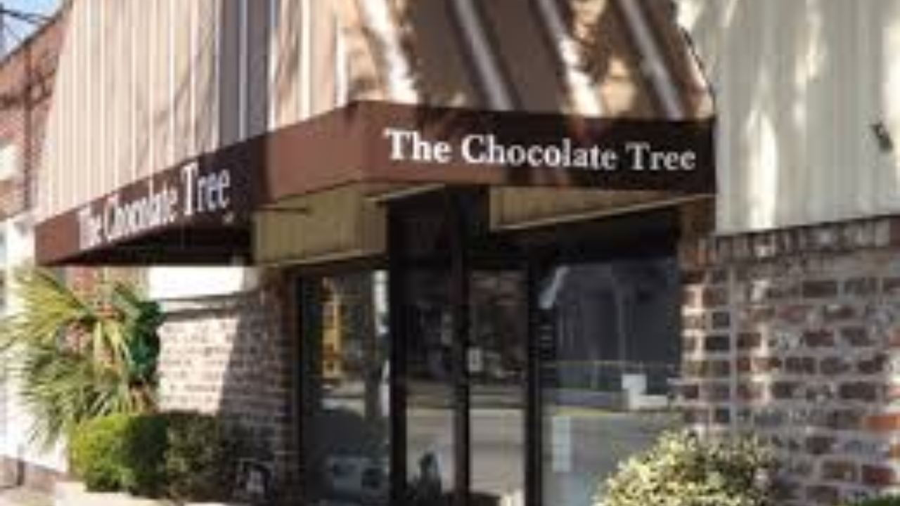 Iconic Chocolate Tree in Beaufort to Shut Down After Decades of Sweet Memories