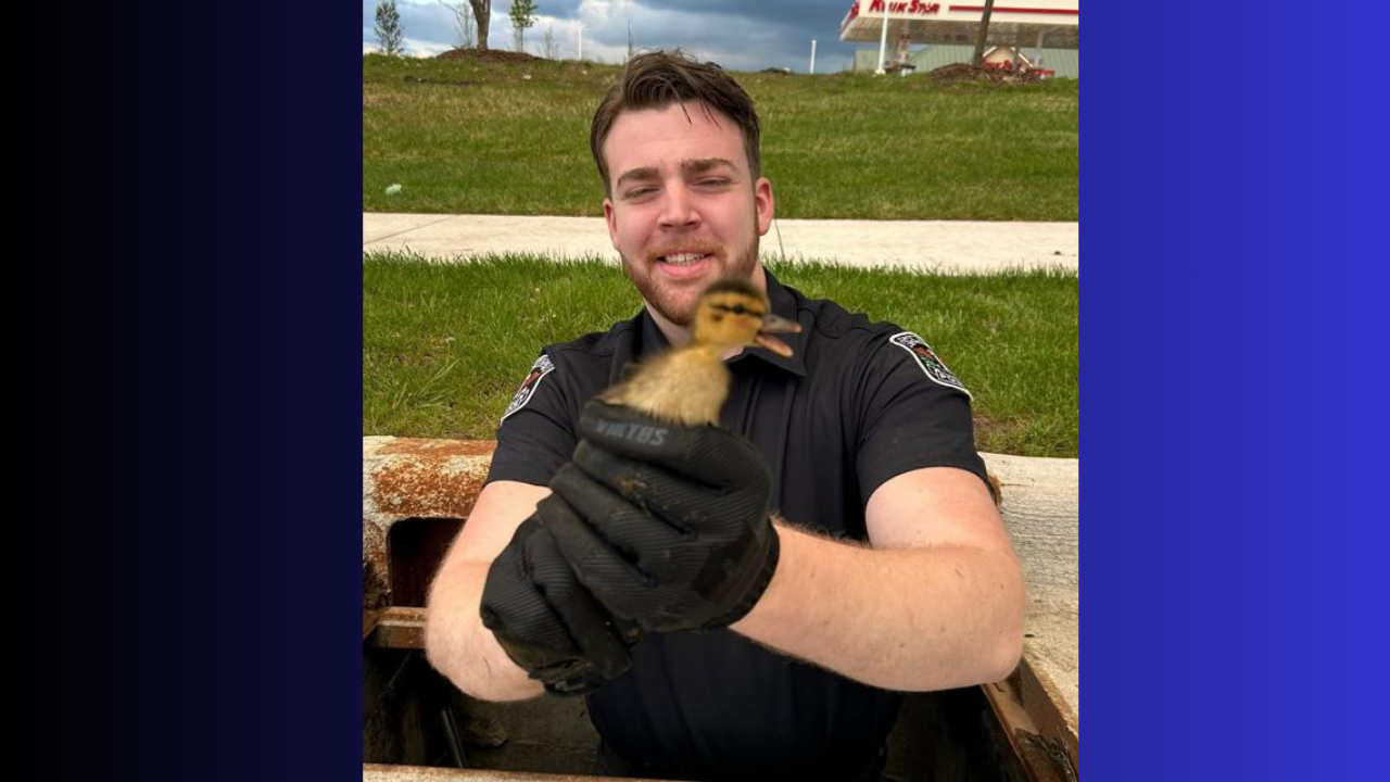 Clive PD Wins PETA Award for Saving a Duckling in a Heartwarming Rescue