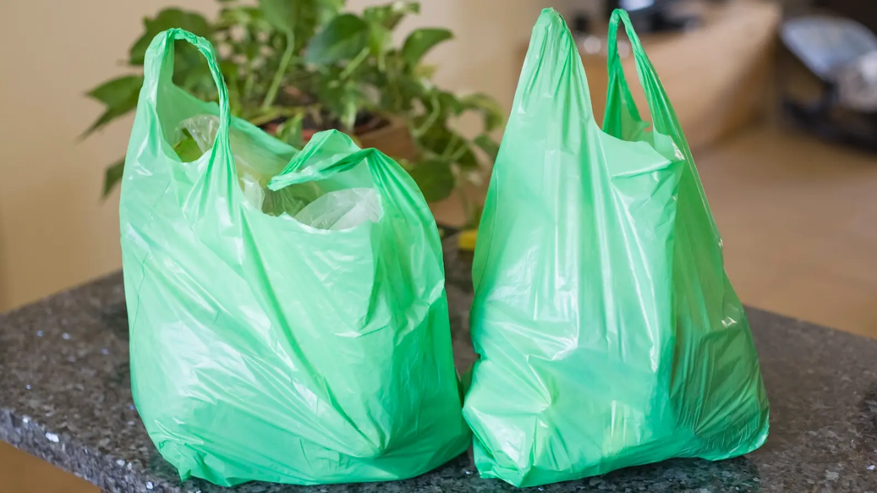 Pennsylvania State Senator Plans Legislation to Ban Single-Use Plastic Bags Across the State