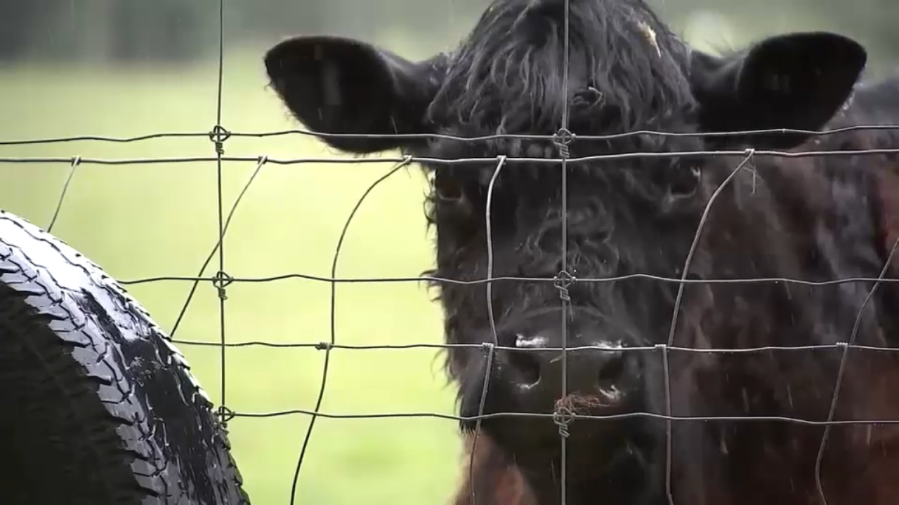 NJ Family Battles to Save Their Farm as Town Pushes for Affordable Housing Takeover