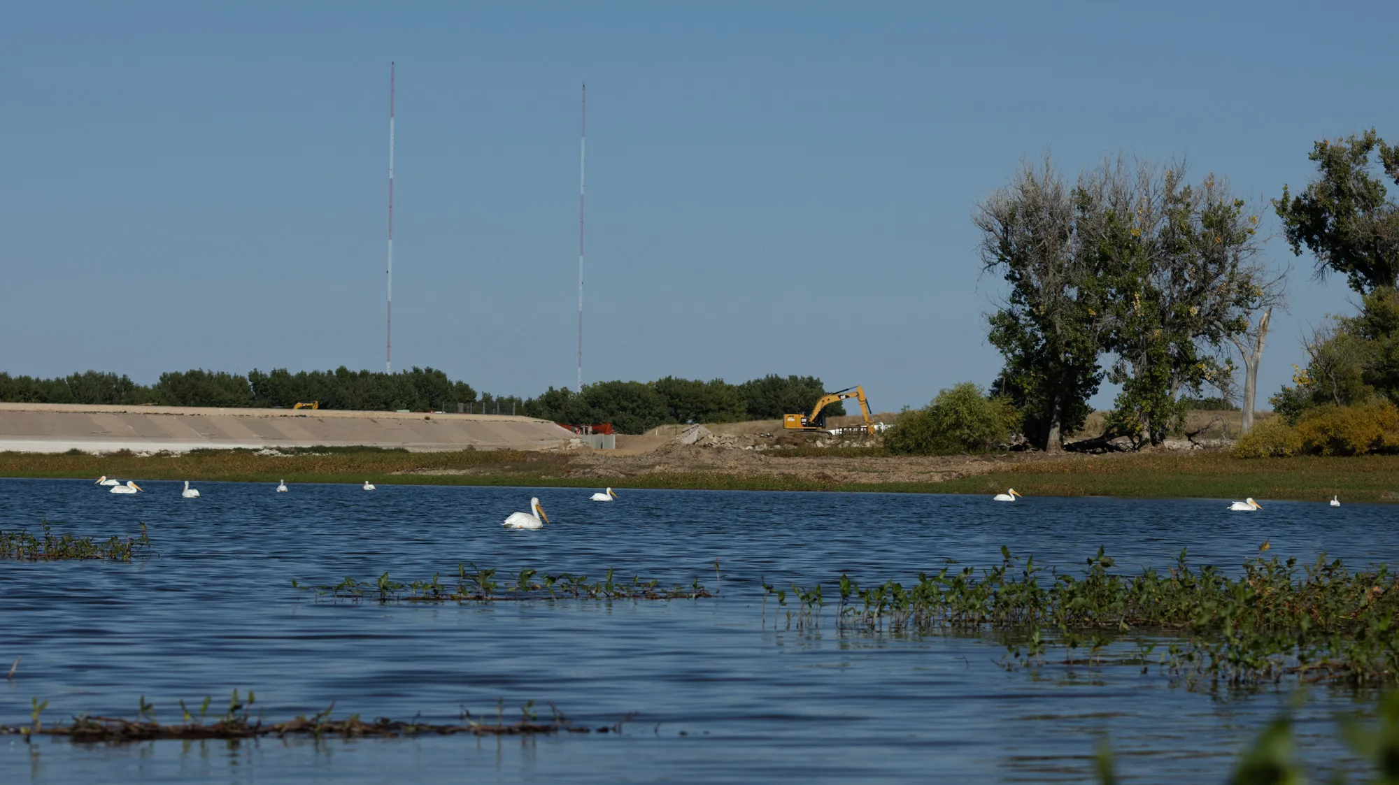 Health Alert: Colorado Warns Against Eating Fish From Lakes Due to Dangerous PFAS Contamination