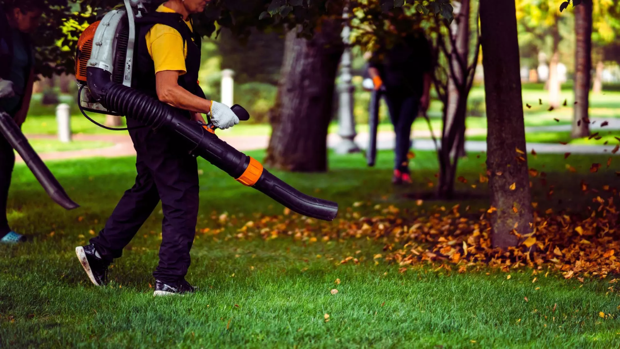 Chicago Suburb Passes Leaf Blower Ban Due to Noise Concerns, Other States May Follow