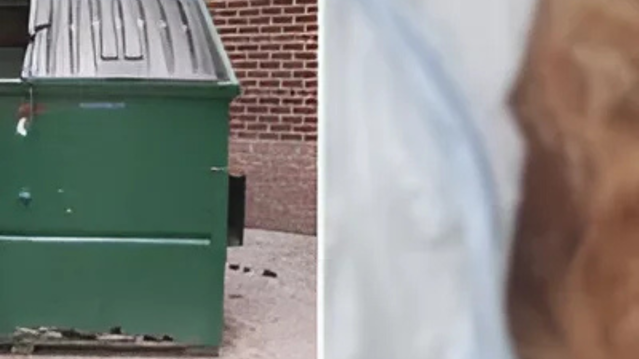 Heartbreaking! Texas Man Caught Throwing Wounded Animal in Trash Bag Shocks Community