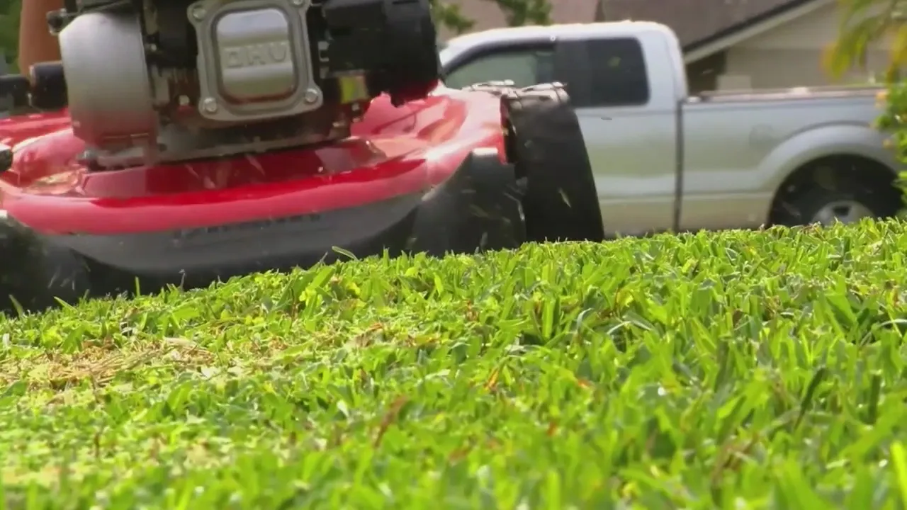 Colorado’s Ban on Gas-Powered Lawn Equipment Goes Into Effect from June 1