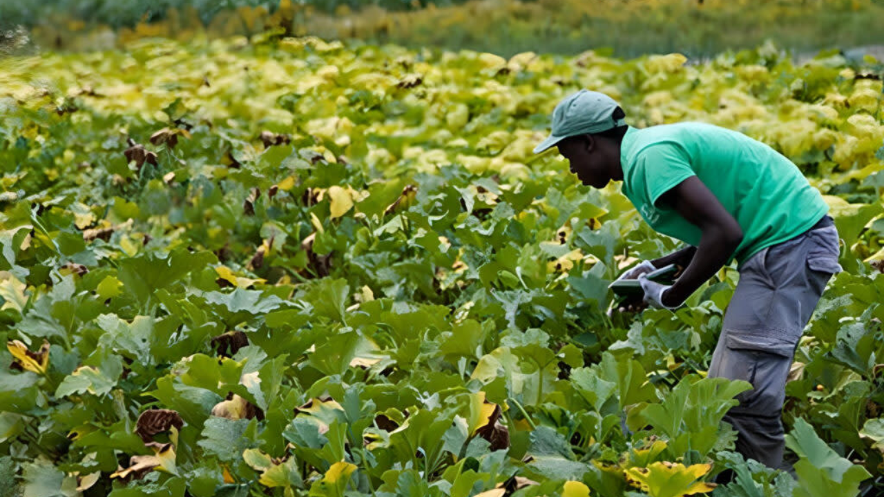 Gov. Janet Mills Signs Law Increasing Minimum Wage for Farmworkers in Maine