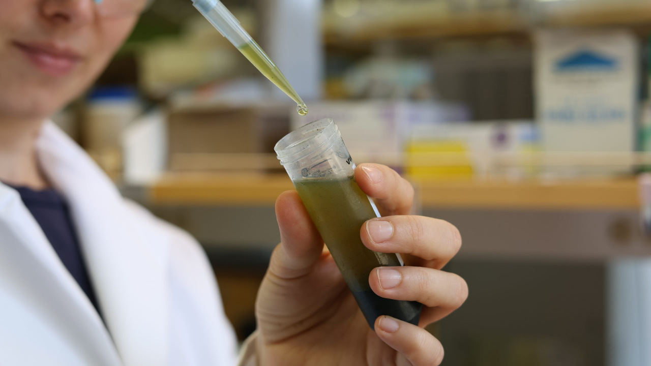 Forever Chemical Contamination Found in North Georgia Water, Scientists Sound the Alarm