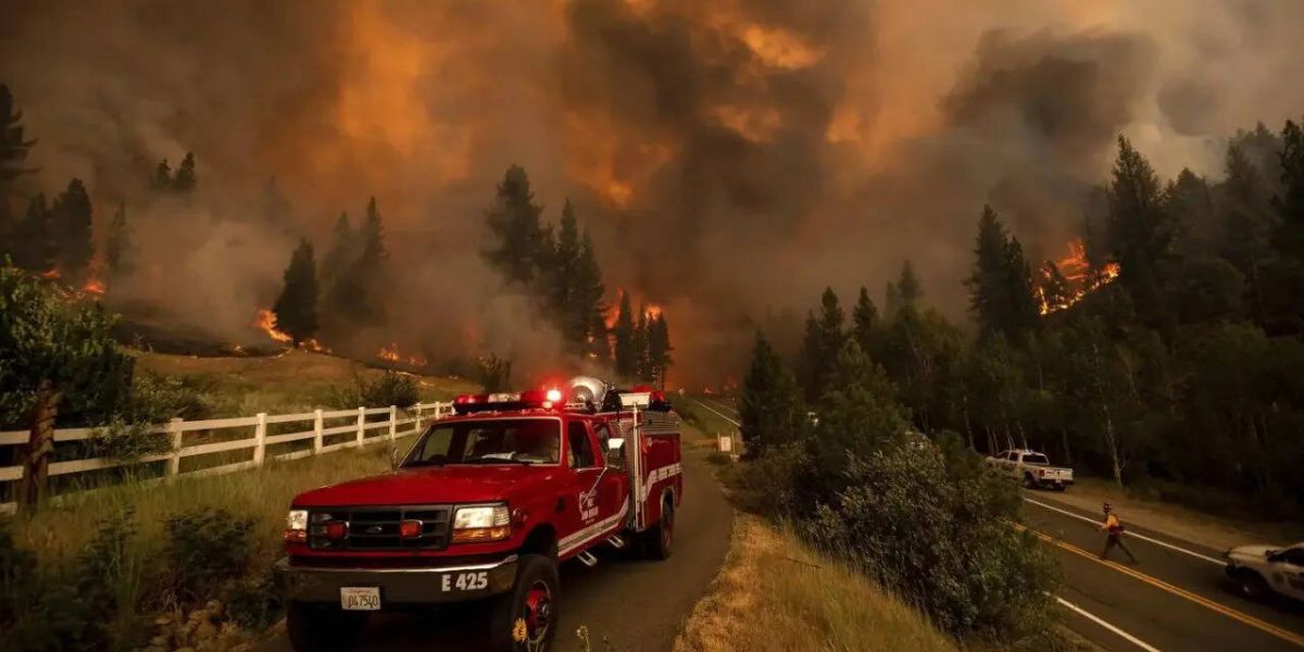 Oregon’s Cram Fire Expands Rapidly, Approaching Megafire Classification
