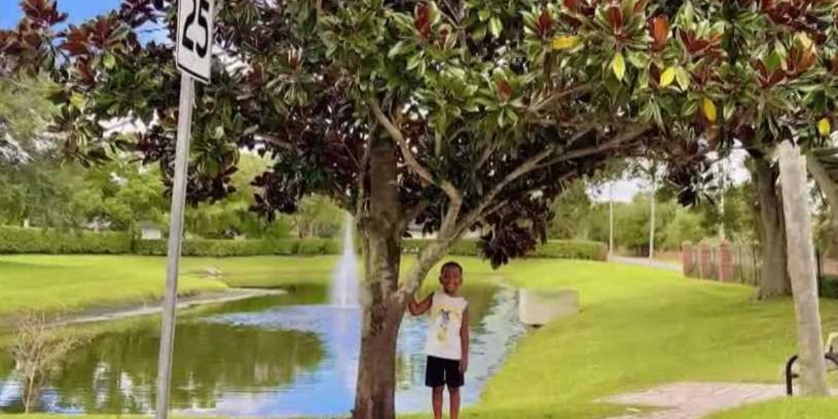 Orlando Mom Says HOA Fined Her After Child Played on a Magnolia Tree